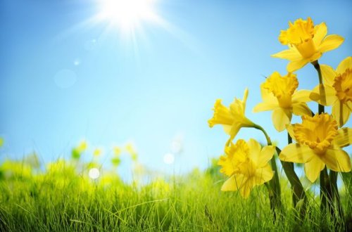 Sabahın hava proqnozu açıqlandı