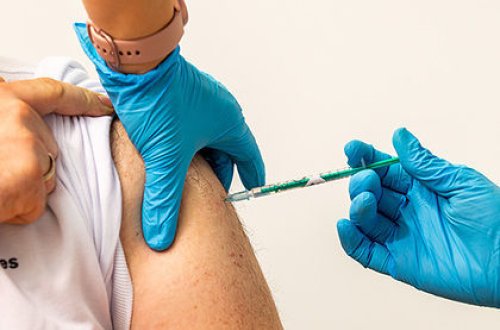 İsveçrədə peyvənddən sonra 37 nəfər ölüb