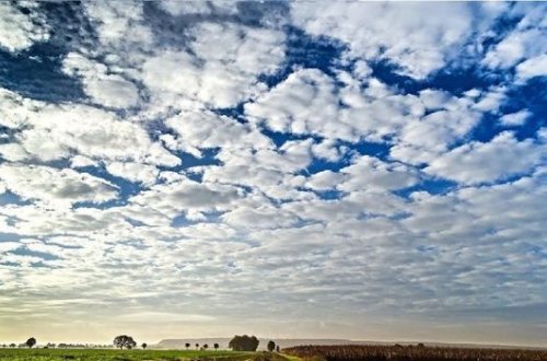 Sabahın hava proqnozu açıqlanıb