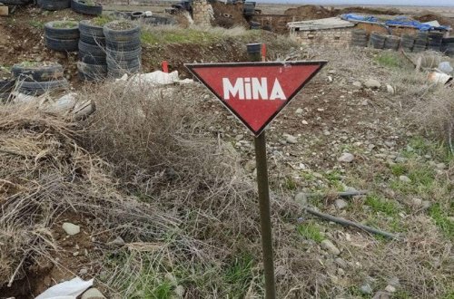 Ermənilər məqsədli şəkildə hərbi təyinatı olmayan əraziləri də minalayıblar - Deputat