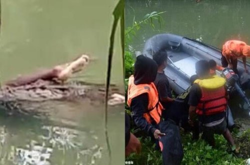 Timsah yeniyetməni dostlarının gözü önündə SÜRÜYÜB APARDI