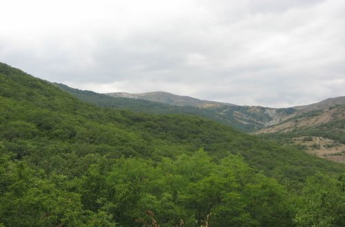 Altıağac Milli Parkının rəhbərliyi barədə cinayət işi başlandı - RƏSMİ