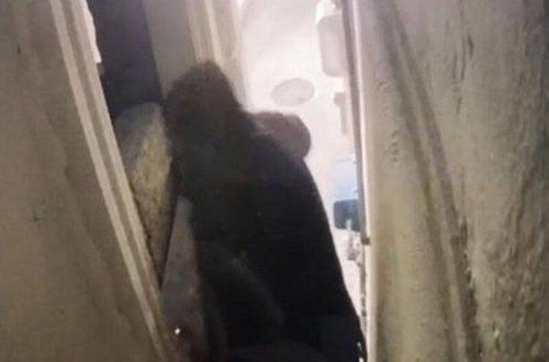 Sintezator oğrusu saxlanılıb - VİDEO