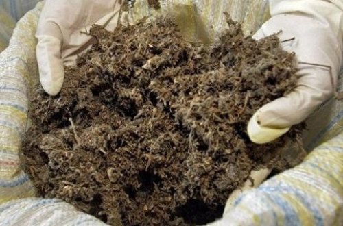 Полиция Билясувара обнаружила закопанные в землю наркотики и оружие