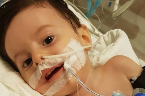 Маленький Тунар нуждается в помощи - ВИДЕО