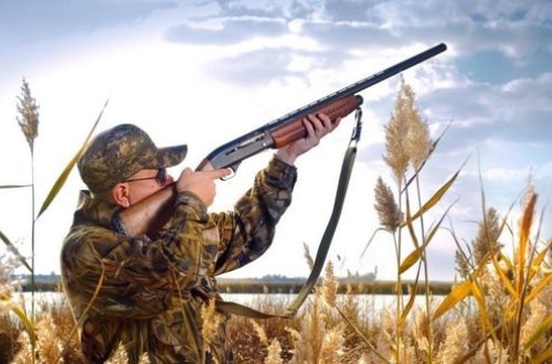Охоту в Азербайджане 