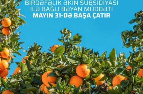Fermerlərin diqqətinə: Birdəfəlik əkin subsidiyası almaq üçün müraciətlərin qəbulu davam edir