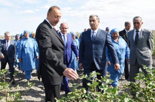 İcra başçısı prezidentə şikayət edən sakini cərimələtdi: Salyanda qəribə olay