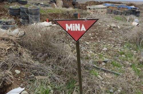 Обнародовано число жертв в результате подрыва на минах в мире в 2020 году