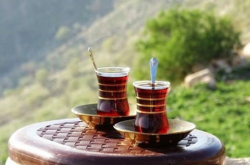 Названа смертельная опасность чая