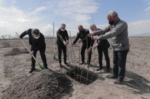 Nazir İnam Kərimov Şəkidə yeni salınmış intensiv fındıq bağlarına baxış keçirib, regional laboratoriyaların fəaliyyəti ilə tanış olub