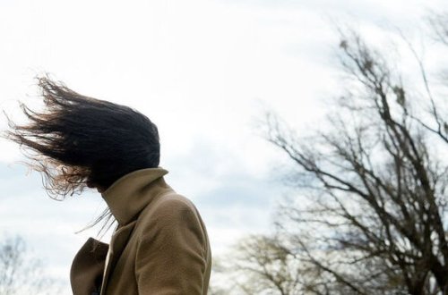 Nazirlikdən küləkli hava ilə bağlı əhaliyə XƏBƏRDARLIQ