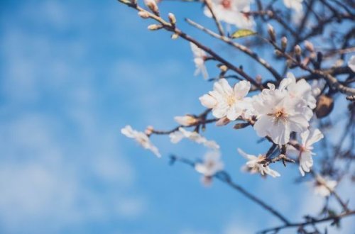 Прогноз погоды в Азербайджане на 7 апреля