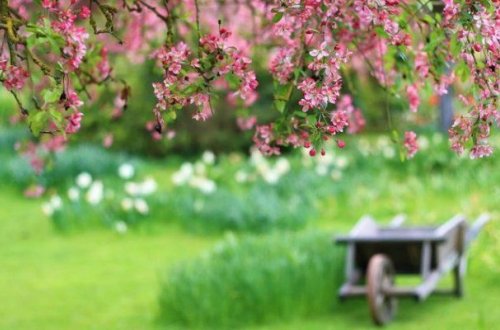 Sabah 30 dərəcəyədək isti olacaq