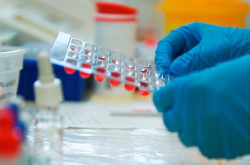 В Бразилии нашли новый опасный штамм коронавируса