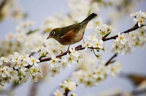 Sabah 29 dərəcə isti olacaq