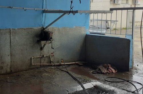 Qanunsuz işləyən heyvan kəsim məntəqəsi bağlanıb – MİNGƏÇEVİRDƏ