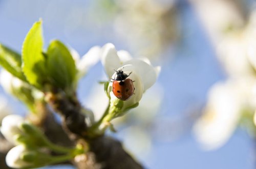В течение трех дней температура поднимется до 25 градусов тепла
