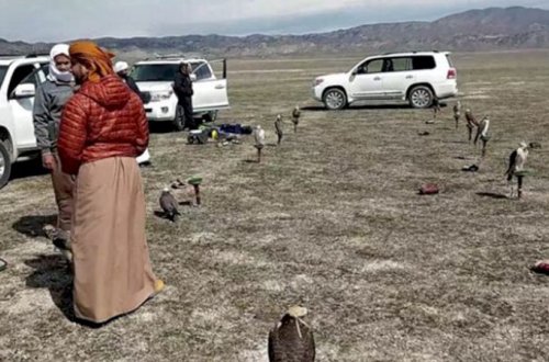 Ovçu ərəbləri Azərbaycana Səid Məhərrəmov gətirib?