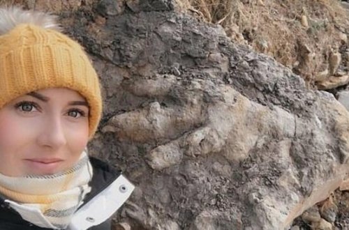 Molyusk yığarkən DİNOZAVR İZİNƏ RAST GƏLDİ - FOTO