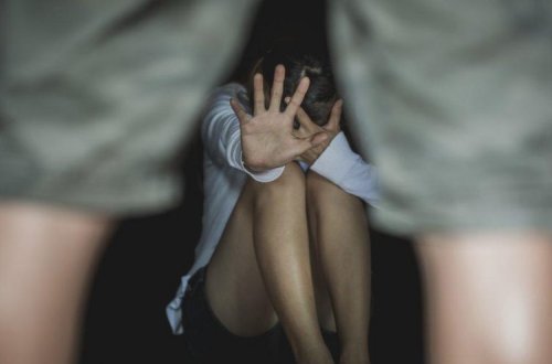 Bu yaşdan aşağı şəxslə cinsi əlaqə təcavüz sayılacaq: 20 il həbs... - Qanun TƏSDİQLƏNDİ