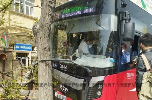 “BakuBus”un avtobusu ağaca çırpıldı: Xəsarət alanlar var - FOTO/VİDEO