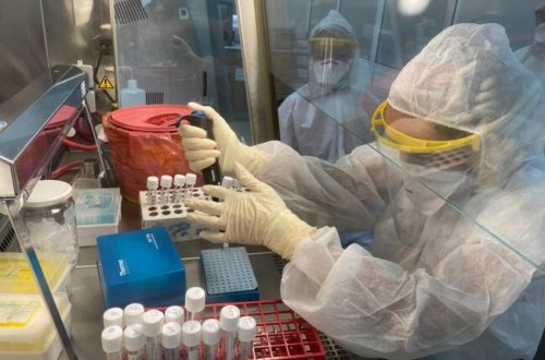 Koronavirusla bağlı PİS XƏBƏR - Daha iki növü aşkarlandı