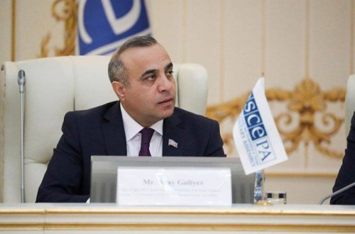 Azay Quliyev BMT və ATƏT-i Ermənistandan mina xəritələrini tələb etməyə çağırdı