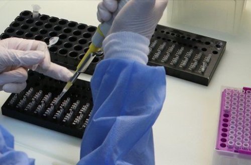 Koronavirusu beş dəqiqədə aşkar edən test üsulu tapıldı