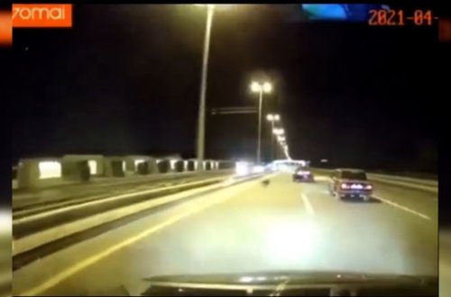 Bakıda qarşısına it çıxan avtomobil qəzaya uğradı - ANBAAN VİDEO