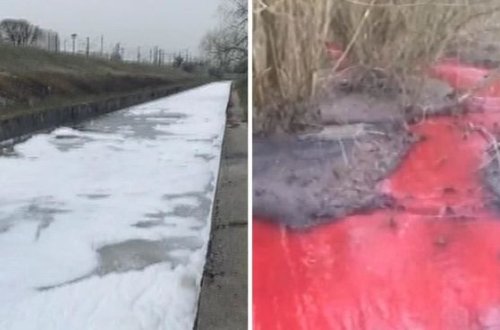 Sankt-Peterburqda çaylar rəngini dəyişib – VİDEO