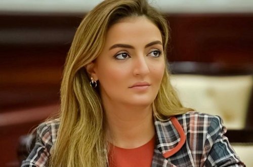 Könül Nurullayeva AŞPA-nın komitə iclasında çıxış edib