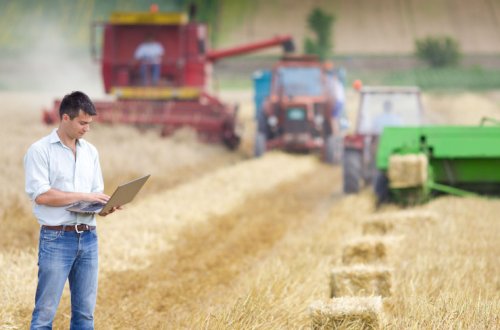 Azərbaycanda ilk dəfə aqrar sığorta mütəxəssisləri fəaliyyətə başlayır