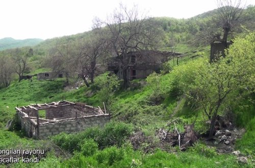 Zəngilanın Nəcəflər kəndindən görüntülər - VİDEO