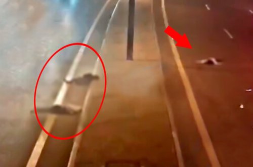 Aeroport yolunda ana və oğlunun öldüyü qəzanın dəhşətli görüntüləri – ANBAAN VİDEO