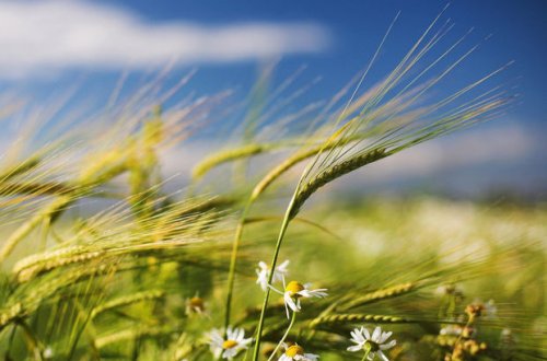 Sabah hava küləkli olacaq