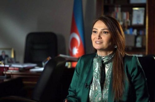 Bir daha İNSAN KAPİTALI haqqında - Qənirə Paşayevanın yazısı