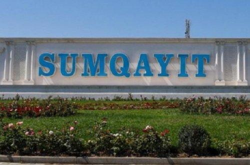 Sumqayıtda çinar ağaclarına qarşı soyqırım – FOTOLAR