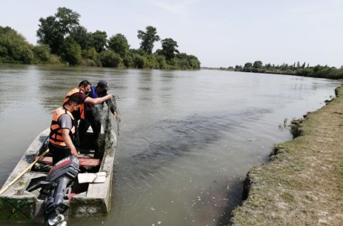 Brakonyerliklə mübarizə “Təmiz hövzələr” aksiyası çərçivəsində davam edib - FOTO