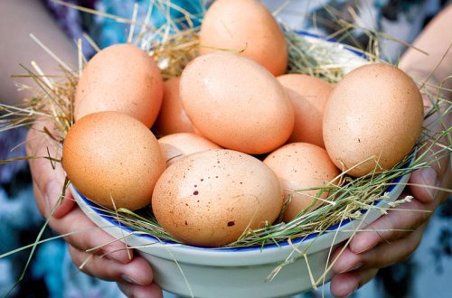 Rusiyada peyvənd olunan pensiyaçılara pulsuz yumurta veriləcək