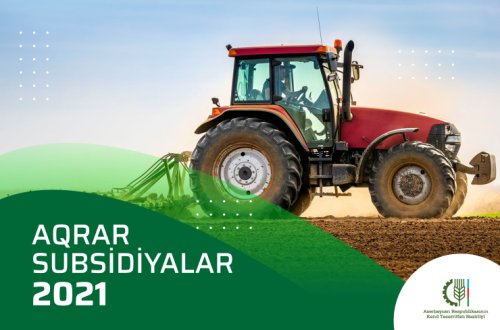 Payızlıq əkinlərə görə 274619 fermerə subsidiya ödənilib