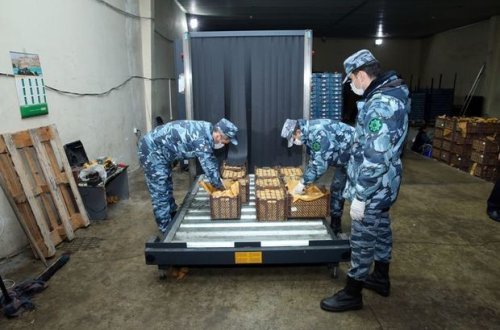 730 kiloqram narkotikin sərhəddən keçirilməsinin qarşısı alındı - FOTO