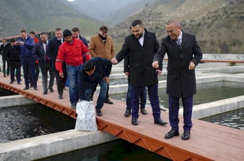 Alimpaşa Məmmədovun oğluna məxsus olduğu deyilən balıq zavodu haqda rəsmi açıqlama