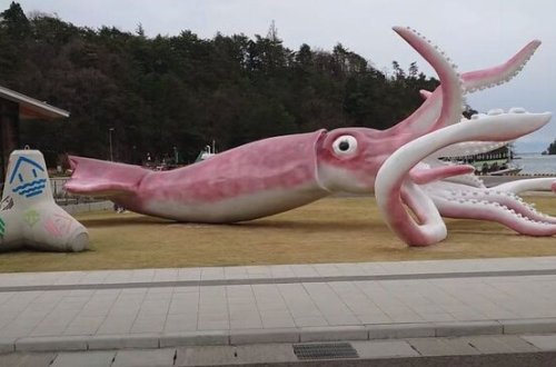 Koronavirusa ayrılan 390 min manatı GÖRÜN NƏYƏ XƏRCLƏDİLƏR- FOTO-VİDEO