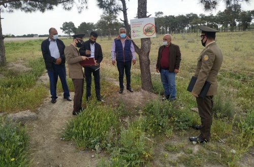 FHN əkin sahələrində yanğınların daha çox baş verdiyi əraziləri müəyyən edib - FOTO/VİDEO