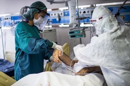 В Турции еще 278 человек стали жертвами коронавируса