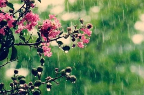 Sabah hava necə olacaq?