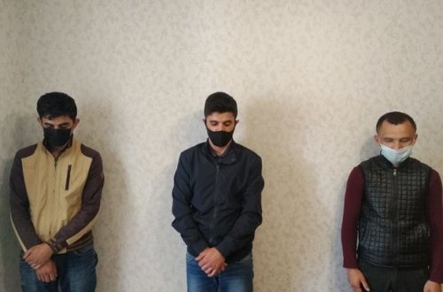 Xırdabuynuzlu heyvanları oğurlayan dəstə üzvləri saxlanıldı