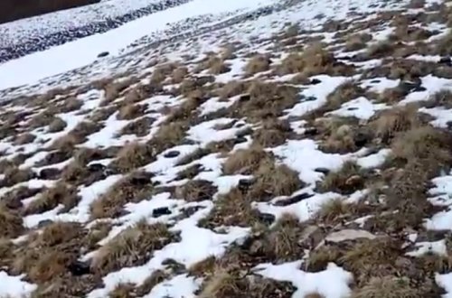 Kəlbəcərdə aşkarlanan yüzlərlə mina ilə bağlı BMT-yə çağırış