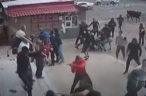 Dmanisidə keçirilən aksiya zamanı 6 nəfər saxlanılıb – Video